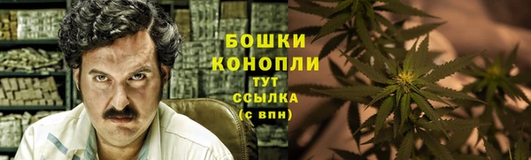 ПСИЛОЦИБИНОВЫЕ ГРИБЫ Аркадак