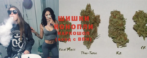 ПСИЛОЦИБИНОВЫЕ ГРИБЫ Аркадак