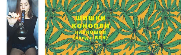 ПСИЛОЦИБИНОВЫЕ ГРИБЫ Аркадак