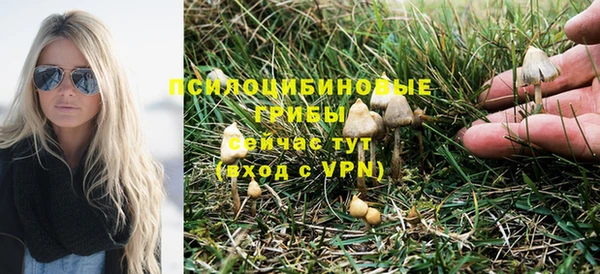 ПСИЛОЦИБИНОВЫЕ ГРИБЫ Аркадак