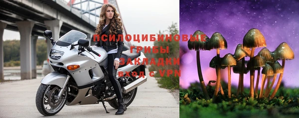 ПСИЛОЦИБИНОВЫЕ ГРИБЫ Аркадак