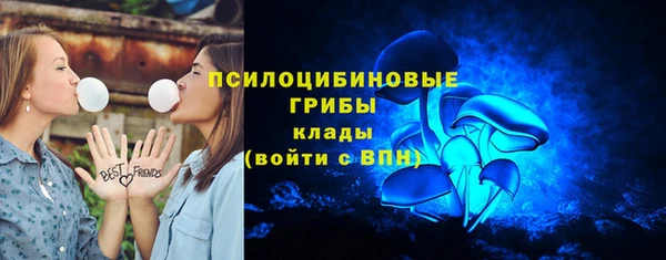 ПСИЛОЦИБИНОВЫЕ ГРИБЫ Аркадак