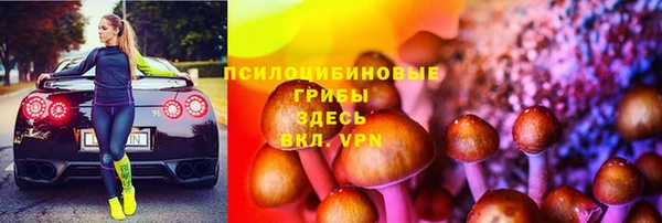 ПСИЛОЦИБИНОВЫЕ ГРИБЫ Аркадак